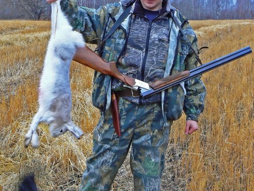 Зверобой.