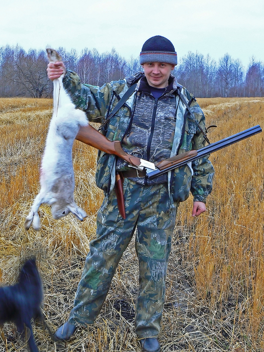 Зверобой.