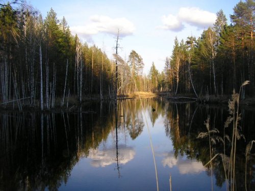 лебедёвка