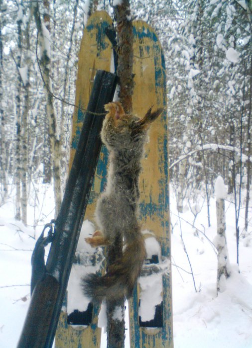 В пушнину ударимся.....
