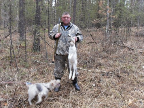 Тальменский белячек.