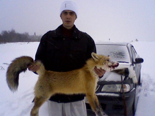 Сегоднешнее утро 27.11.2010