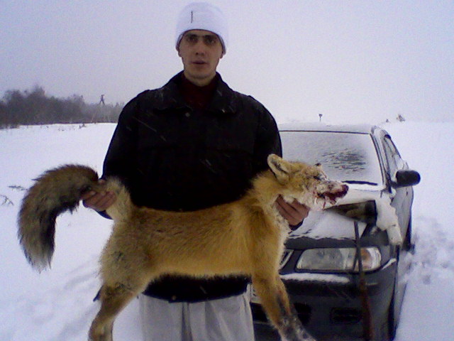 Сегоднешнее утро 27.11.2010