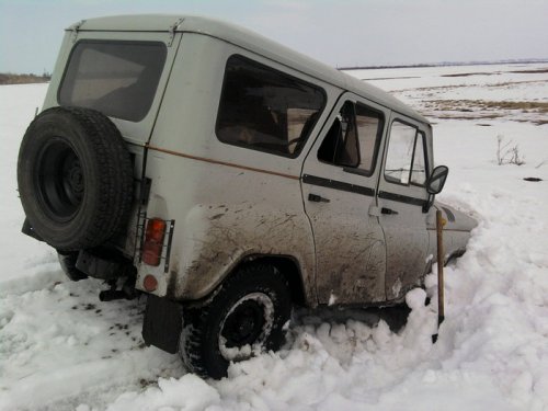 По самые помидоры