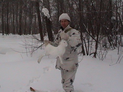беляк
