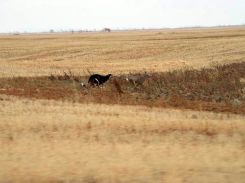 Сейчас...сейчас возьмёт=))