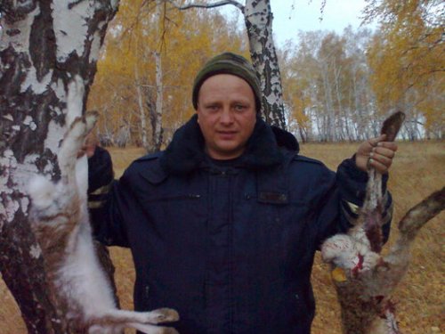 мои зайчики