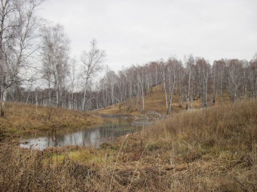 Затерянное болотце в логах....