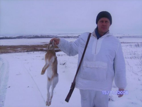 Для сравнения!
