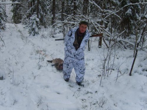 из  лесу
