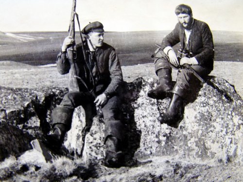 В просторах Таймыра