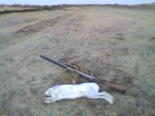русачок