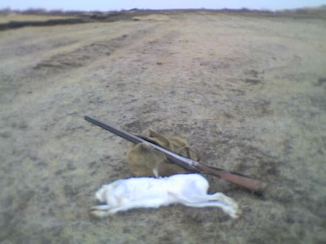 русачок