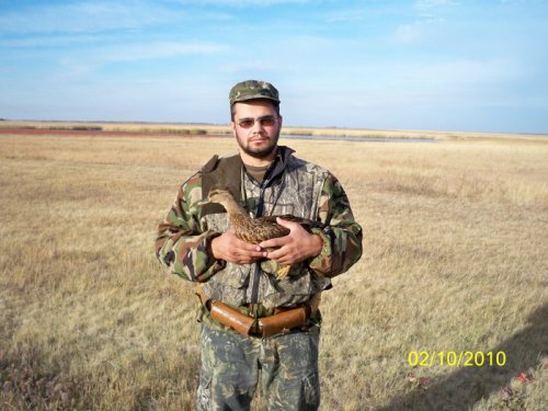 подсадные рулят