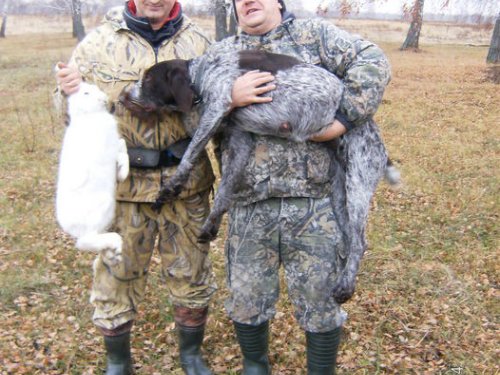 встреча