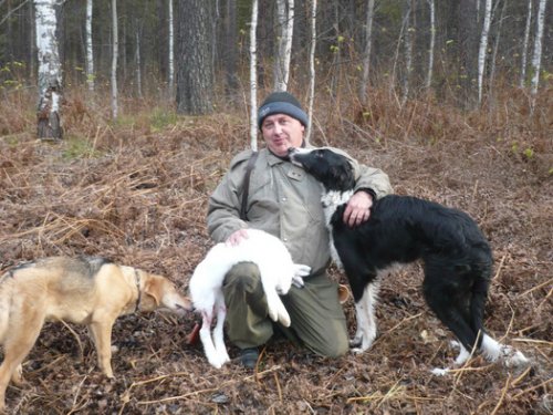 сегодня  первое поле щенков