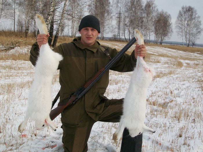 Два зайца!