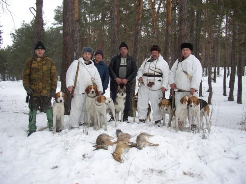 Собачники