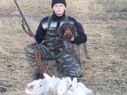 Ульма
