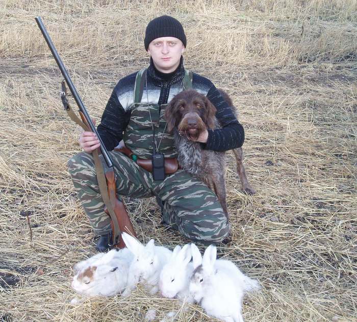 Ульма