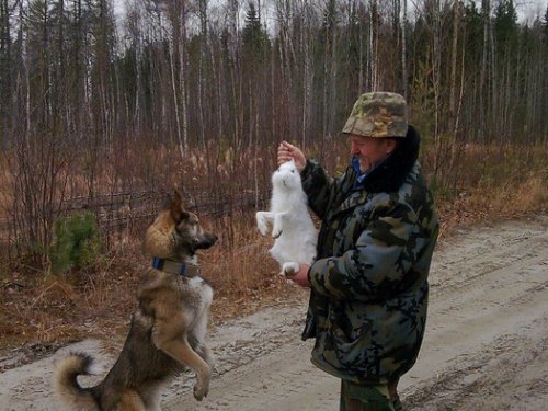 "Знакомство"