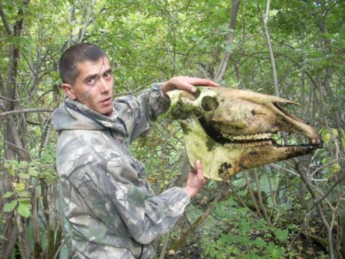 Нашли в болоте череп....