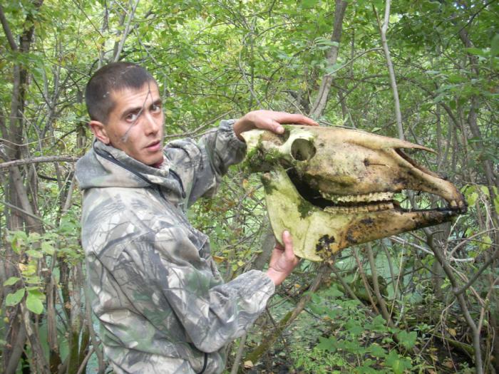 Нашли в болоте череп....