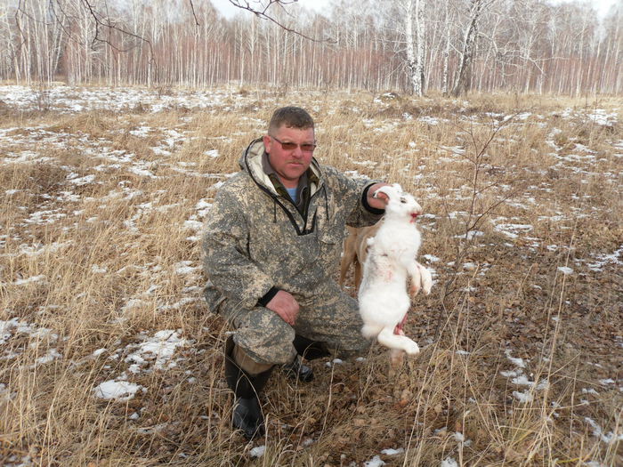 Из под гончей. Заринский район. 