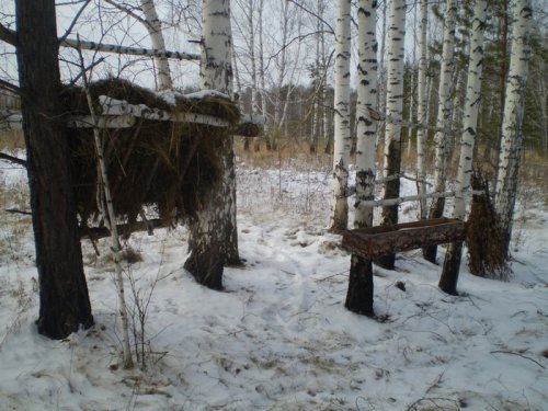 Подкормочная площадка.Мошковский РООиР.