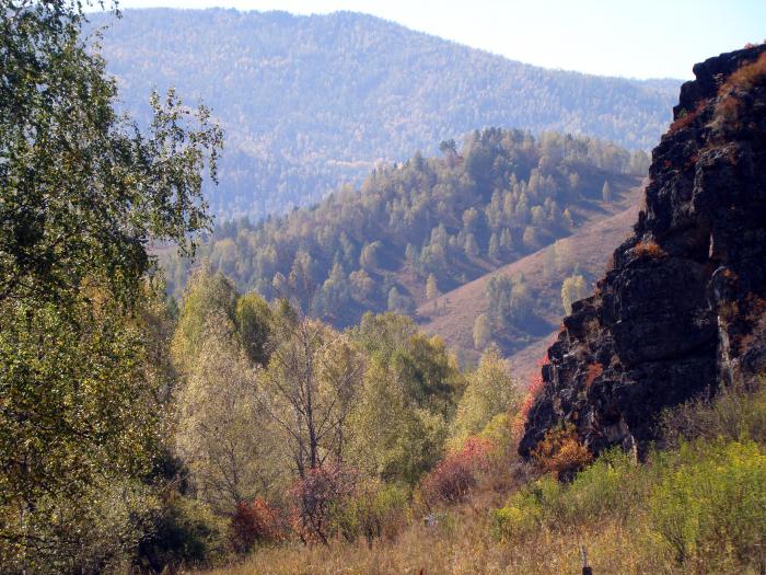 Зарисовки  Алтайские.