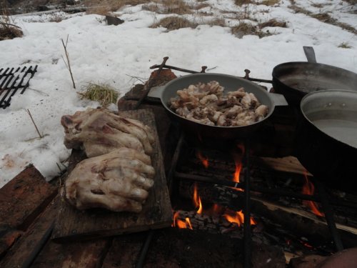 Таежный деликатес