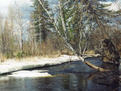 Весна. р. Голоустная. Ирк. Обл.