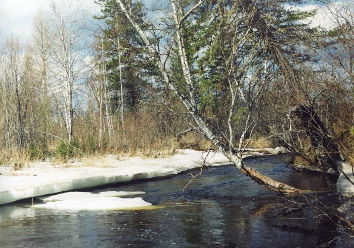 Весна. р. Голоустная. Ирк. Обл.