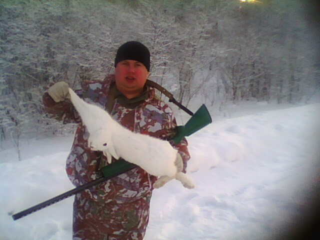 зайчик