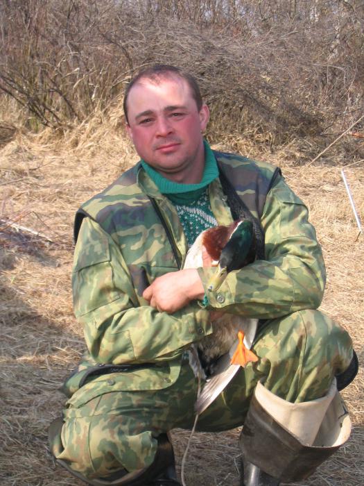 я и подсадной селезень вася