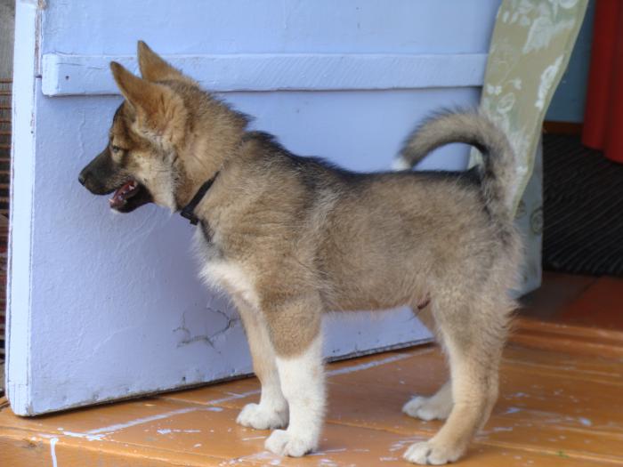 БАЙКАЛ