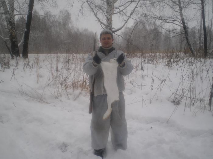 Зайка