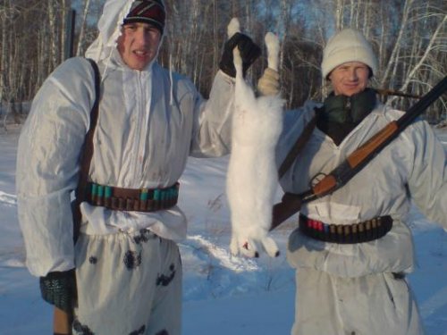 два друга