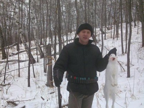 зайчик