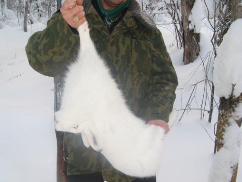 декабрь 2009 Томский район