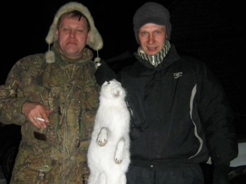 за зайцем