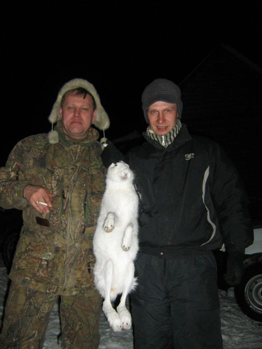 за зайцем