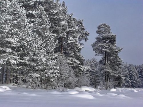Бедный