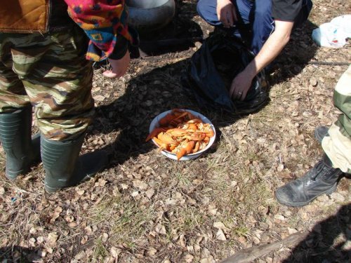 Холодные закуски. Охота на утку весна 2010
