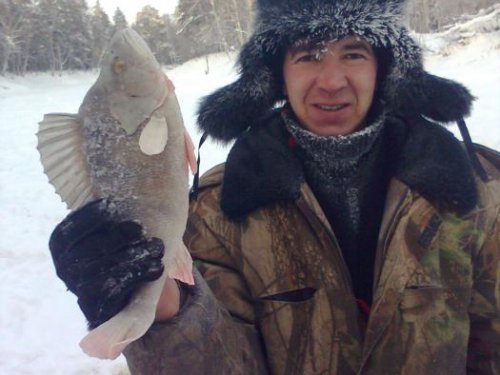 окунь