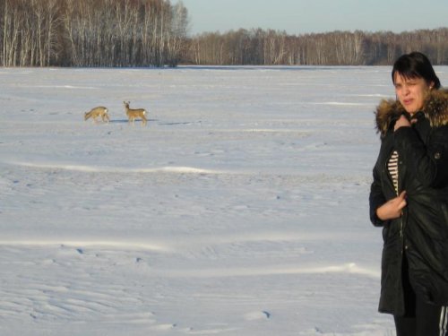 ага насторожились