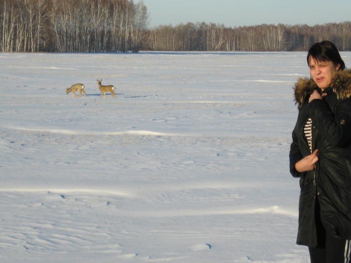 ага насторожились