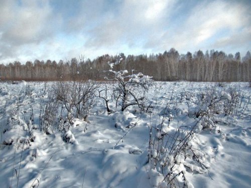 Поле