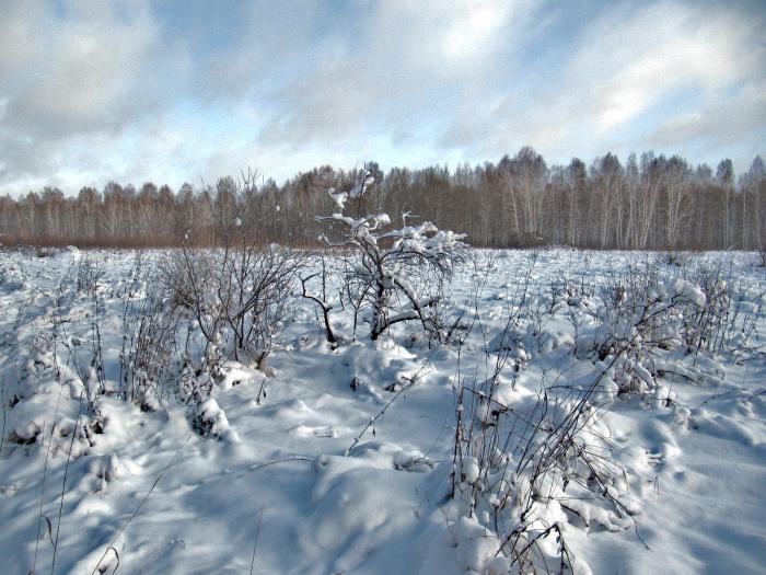 Поле