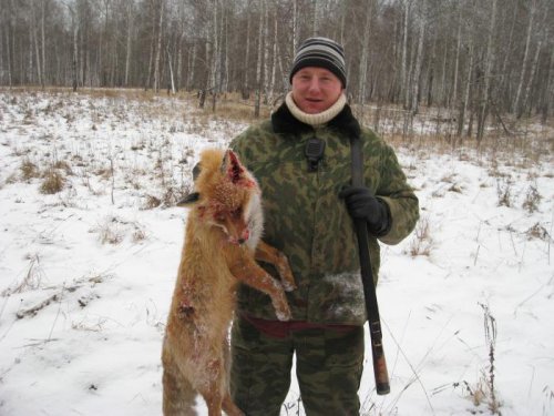 Курганская лиса